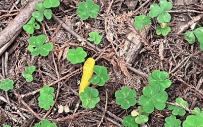 Back to school (kind of)